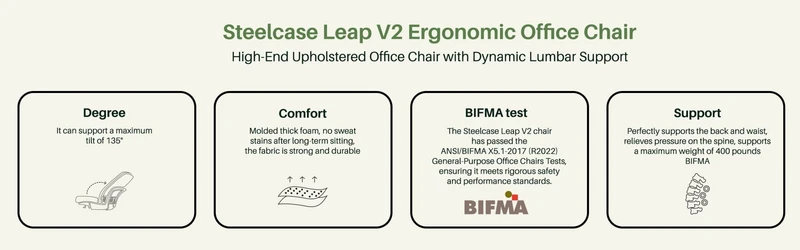 Steelcase Leap V2 Chair (Platinum Frame) Fully Renewed