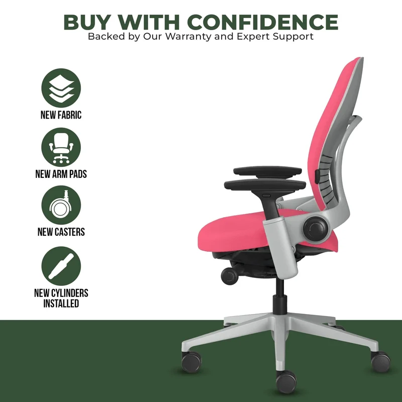 Steelcase Leap V2 Chair (Platinum Frame) Fully Renewed
