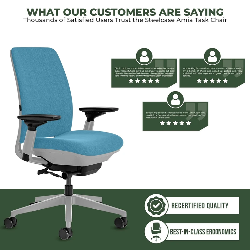 Steelcase Amia Task Chair (Platinum Frame) Fully Renewed