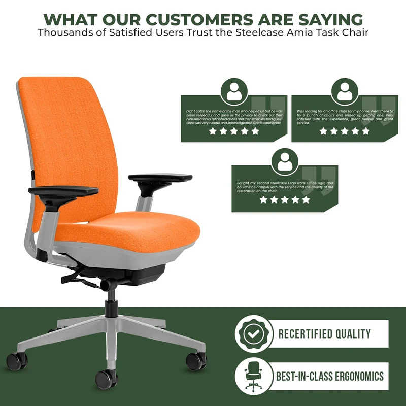 Steelcase Amia Task Chair (Platinum Frame) Fully Renewed