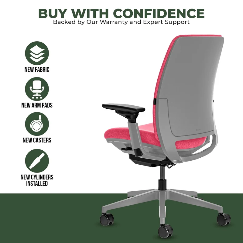 Steelcase Amia Task Chair (Platinum Frame) Fully Renewed