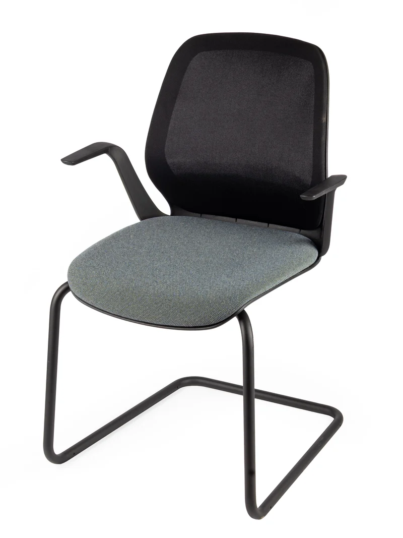 SEDUS - se:flex Freischwinger