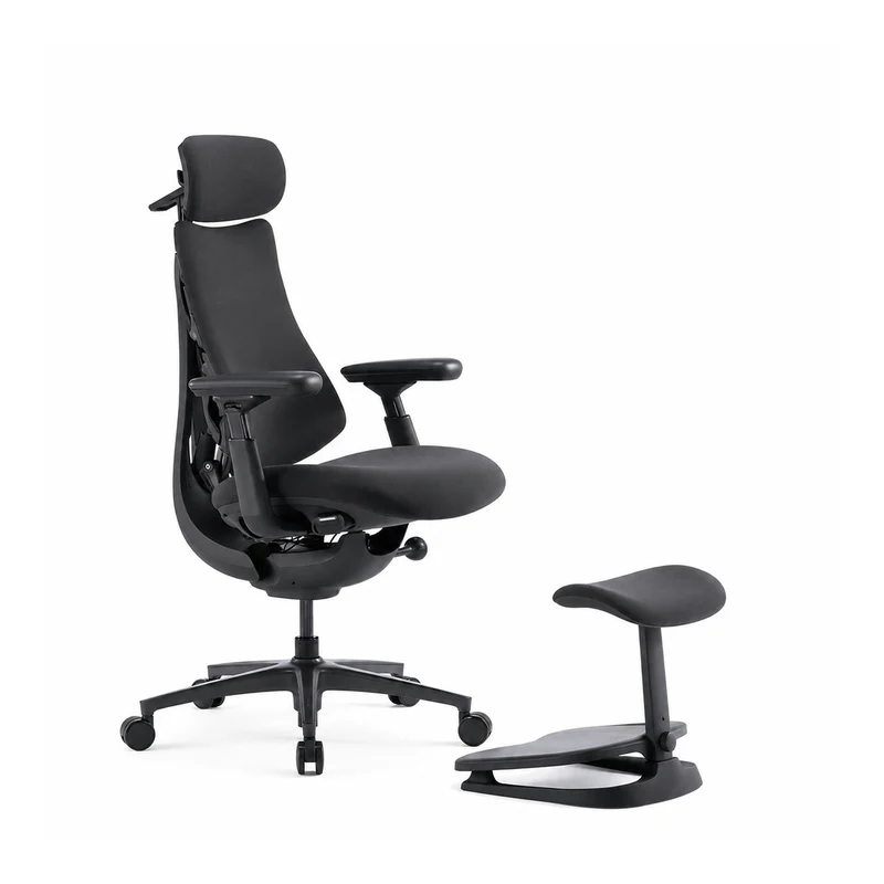 LiberNovo Omni Pro Dynamic Ergonomic Chair