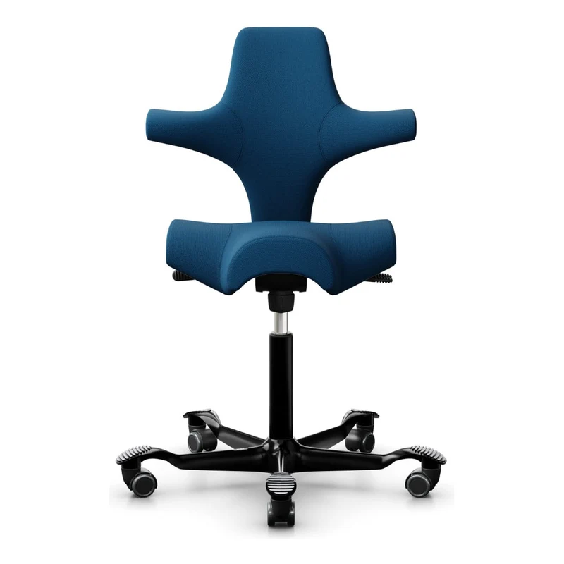 HÅG Capisco Saddle Chair 8106