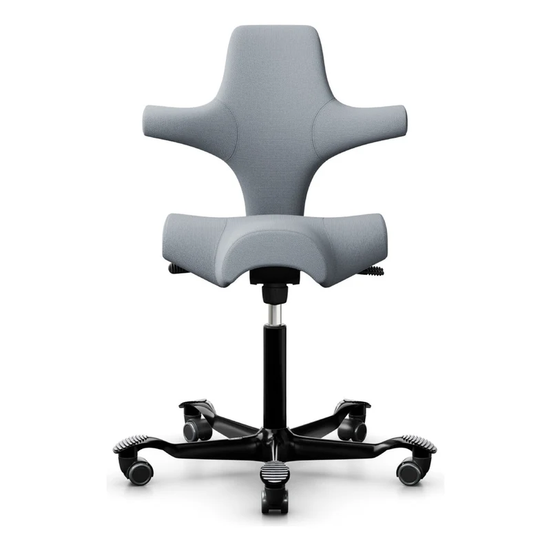 HÅG Capisco Saddle Chair 8106