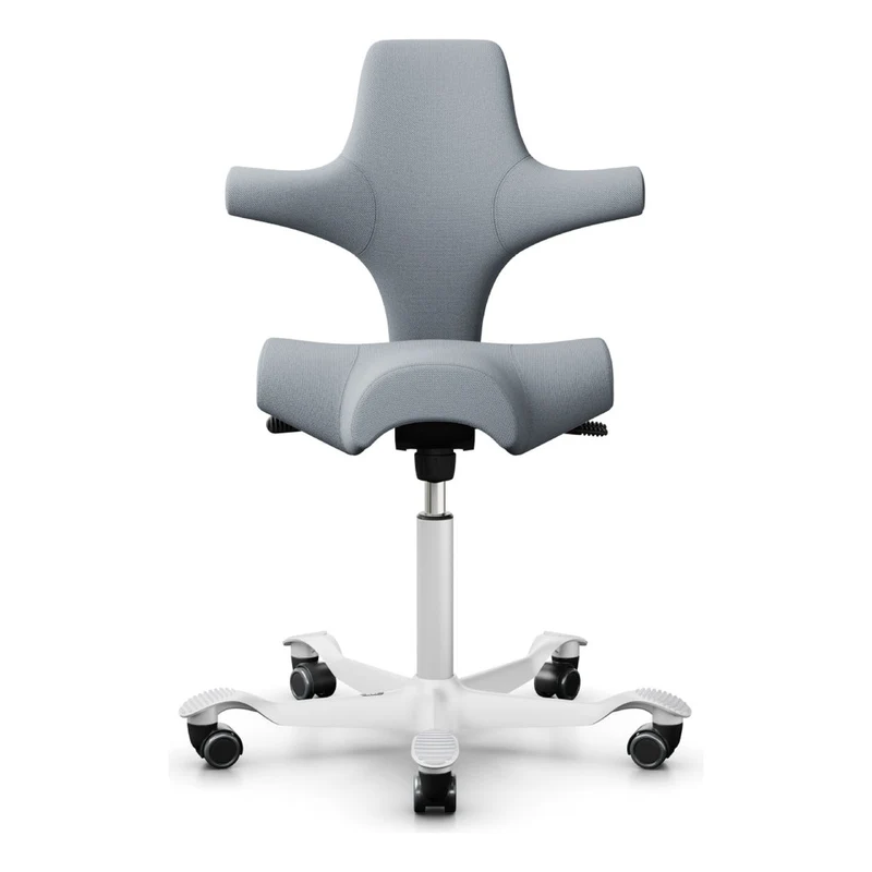 HÅG Capisco Saddle Chair 8106