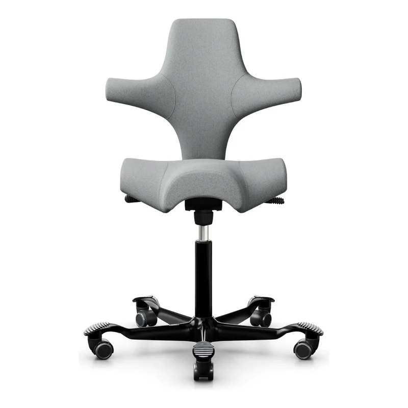HÅG Capisco Saddle Chair 8106