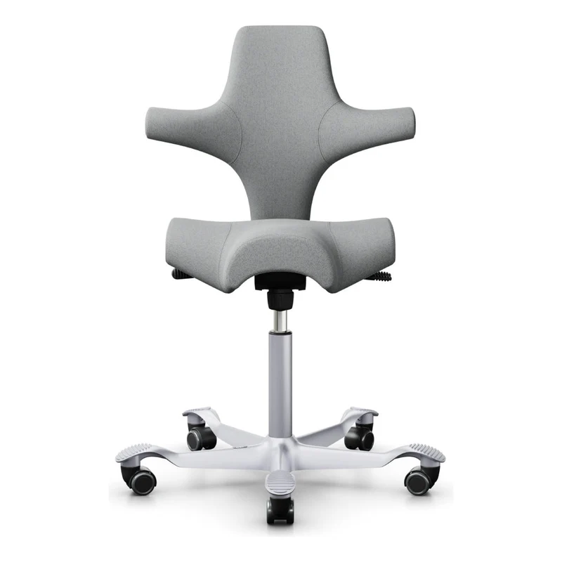 HÅG Capisco Saddle Chair 8106