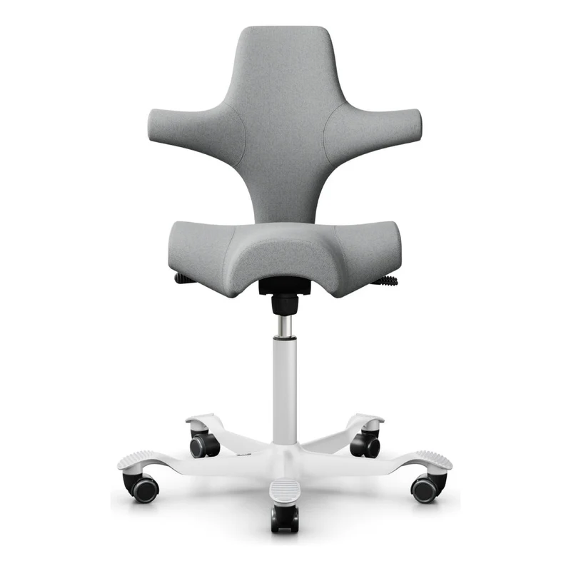 HÅG Capisco Saddle Chair 8106
