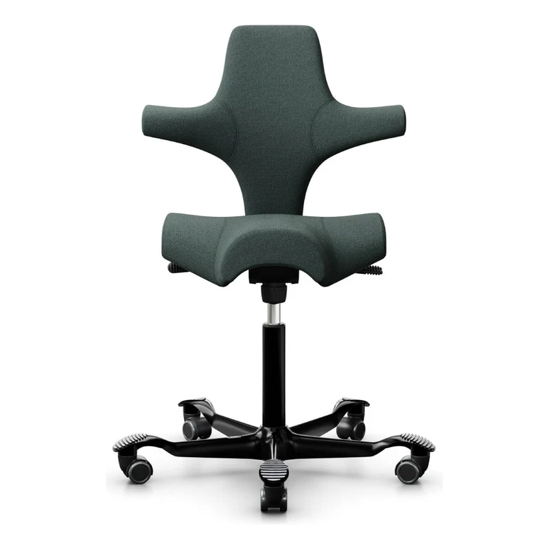 HÅG Capisco Saddle Chair 8106