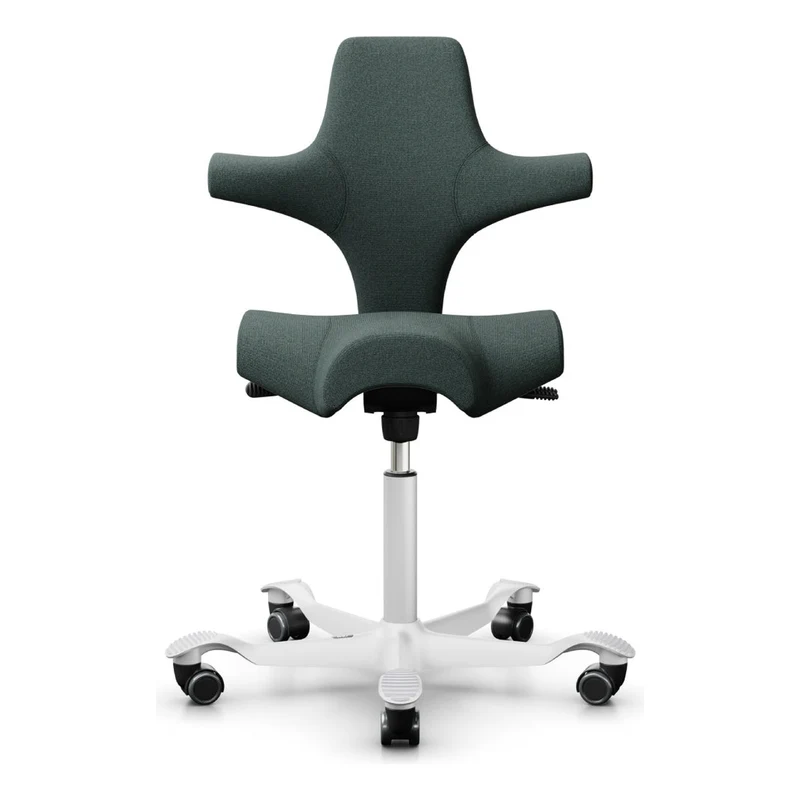 HÅG Capisco Saddle Chair 8106