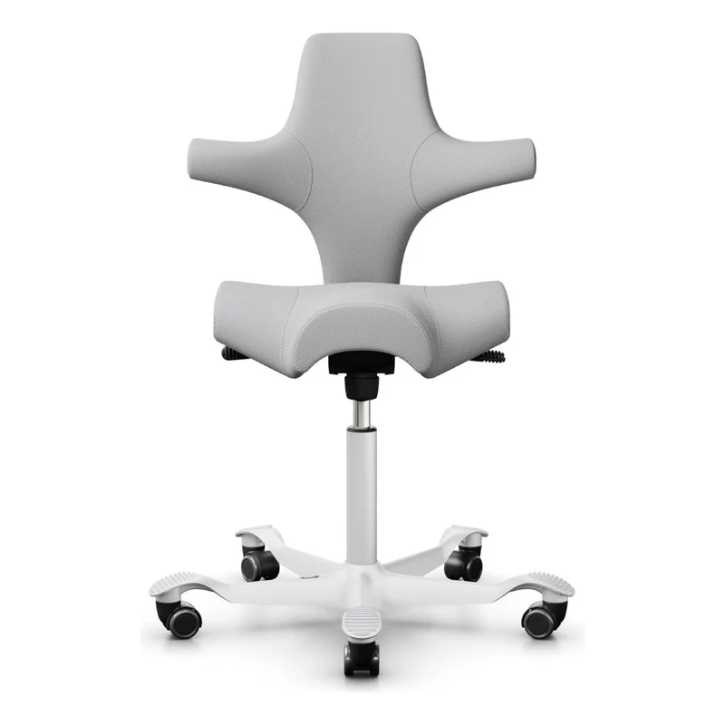 HÅG Capisco Saddle Chair 8106