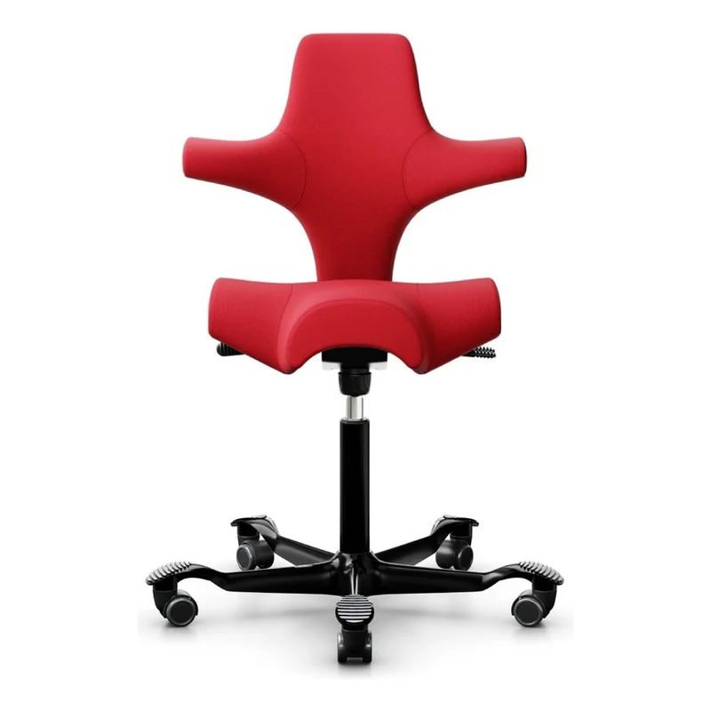 HÅG Capisco Saddle Chair 8106