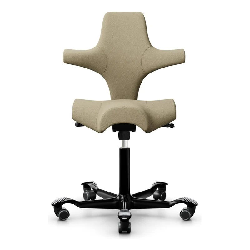 HÅG Capisco Saddle Chair 8106