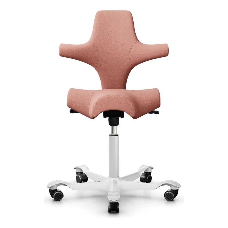 HÅG Capisco Saddle Chair 8106