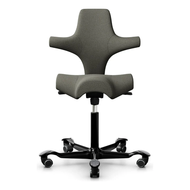 HÅG Capisco Saddle Chair 8106