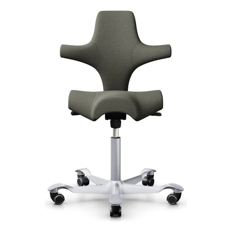 HÅG Capisco Saddle Chair 8106