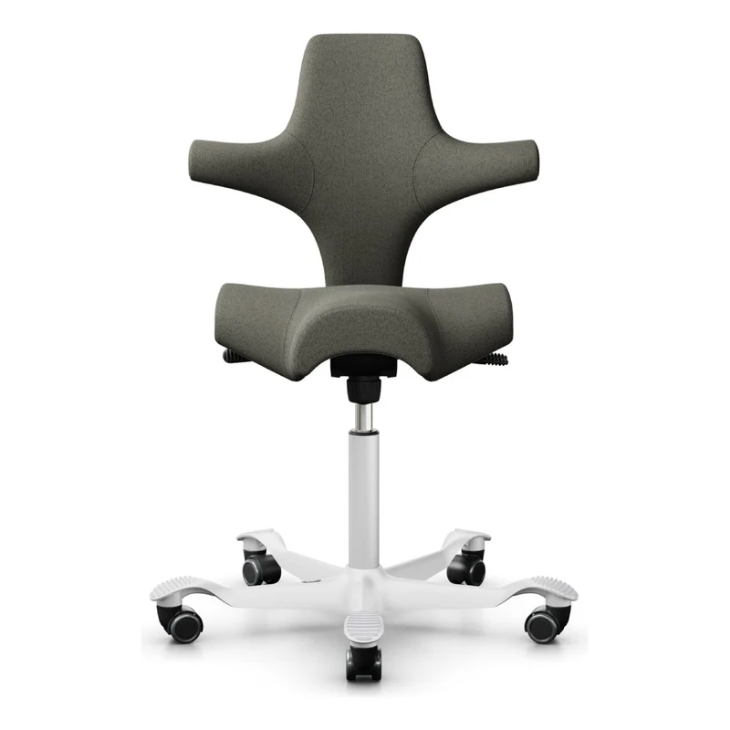 HÅG Capisco Saddle Chair 8106