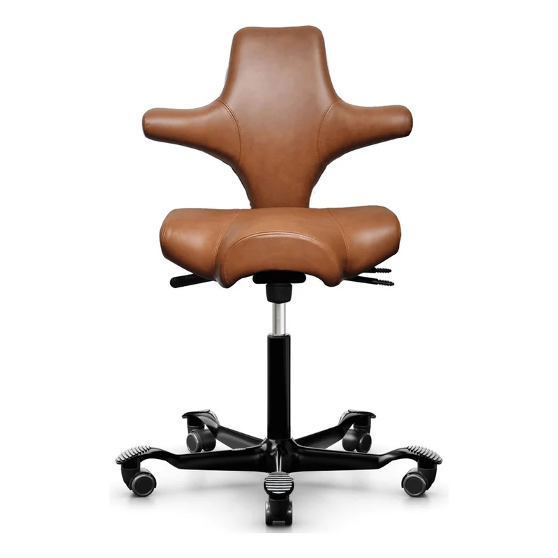HÅG Capisco Saddle Chair 8106