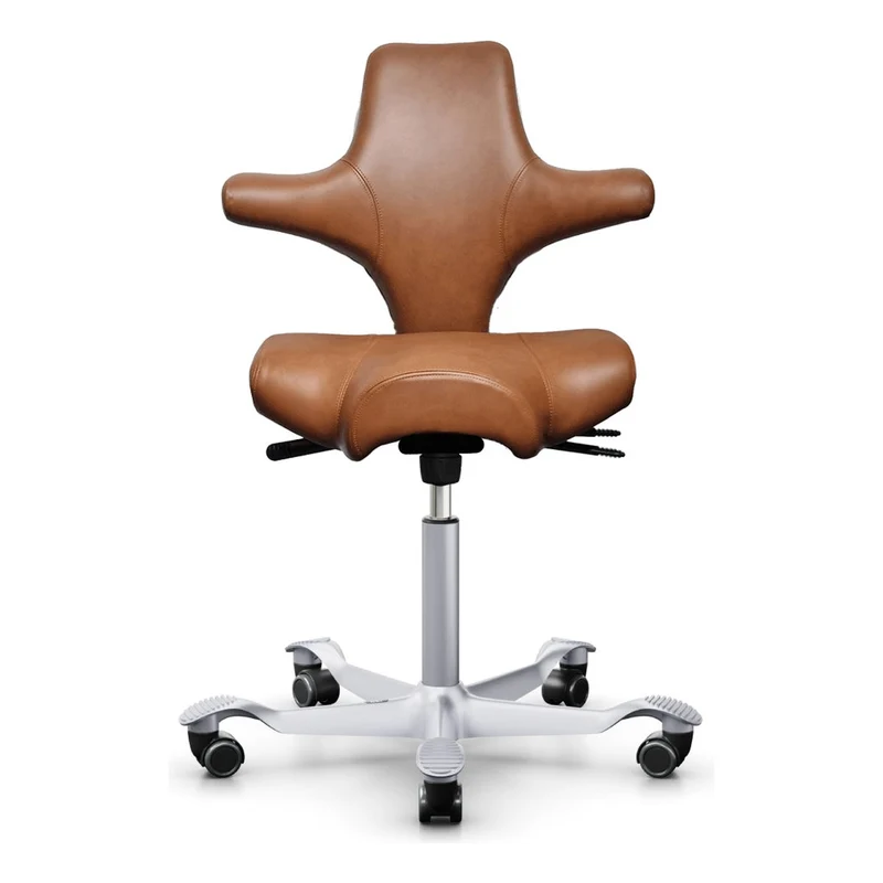 HÅG Capisco Saddle Chair 8106