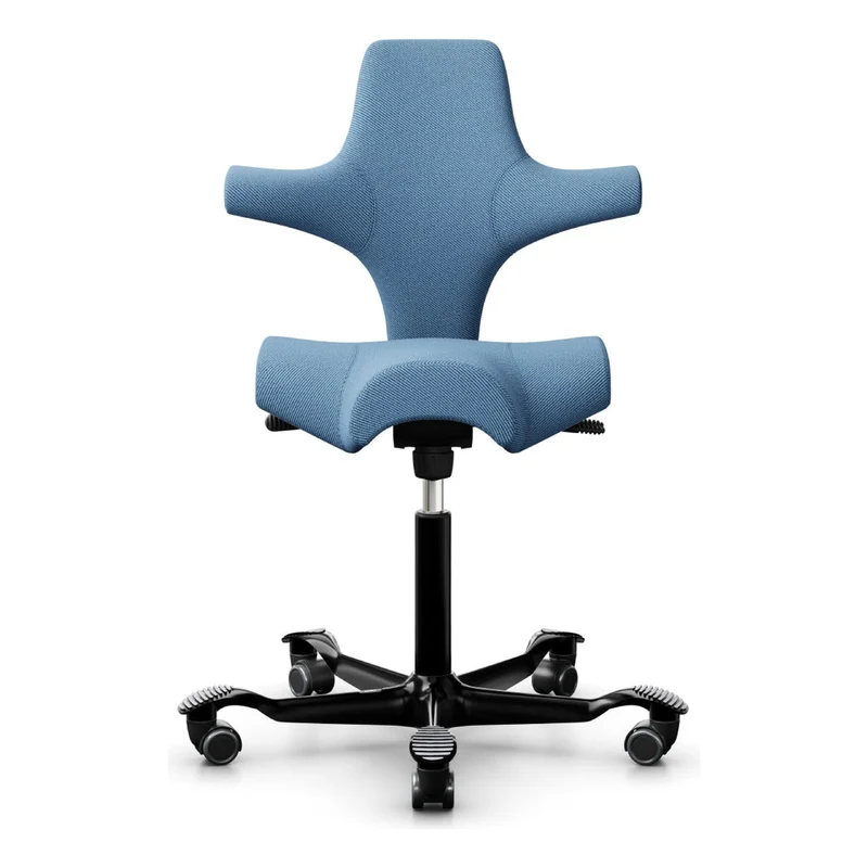 HÅG Capisco Saddle Chair 8106