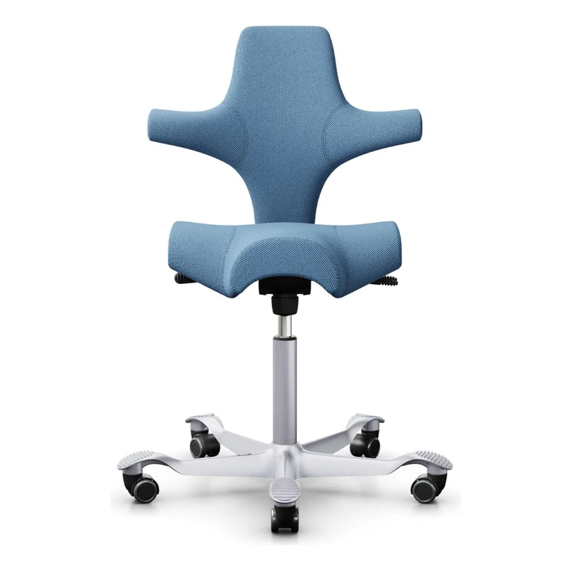 HÅG Capisco Saddle Chair 8106