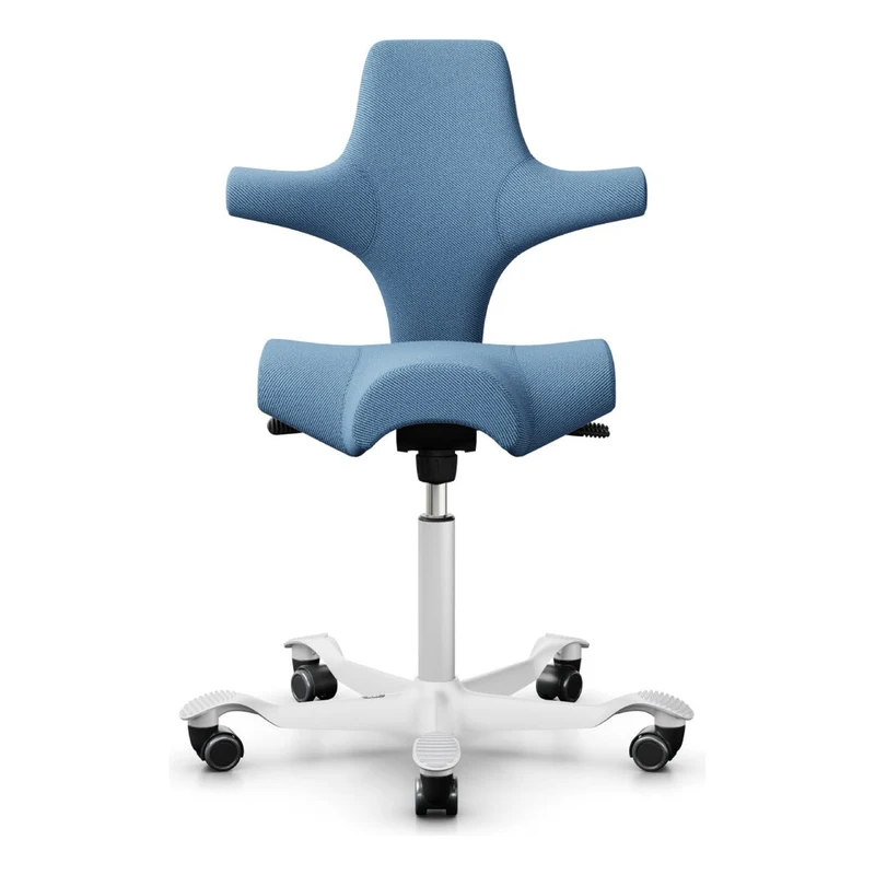 HÅG Capisco Saddle Chair 8106