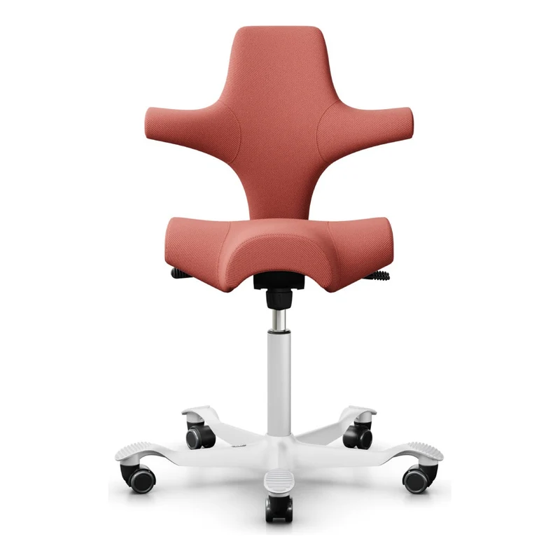 HÅG Capisco Saddle Chair 8106