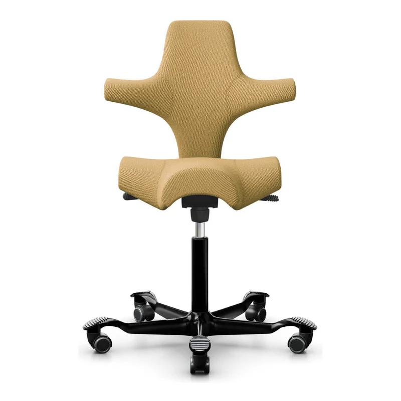 HÅG Capisco Saddle Chair 8106