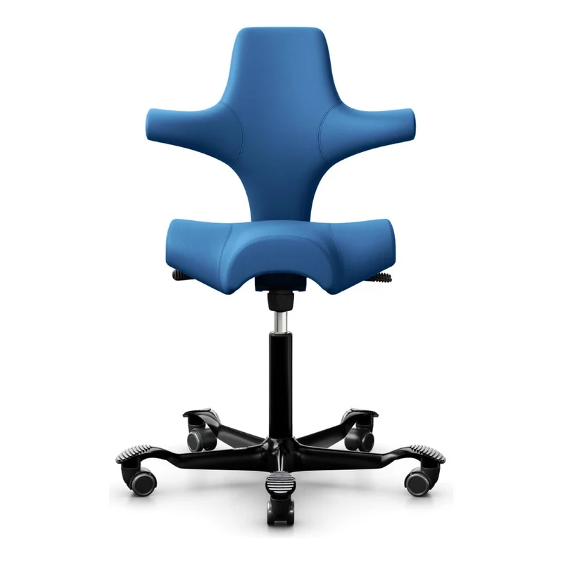 HÅG Capisco Saddle Chair 8106