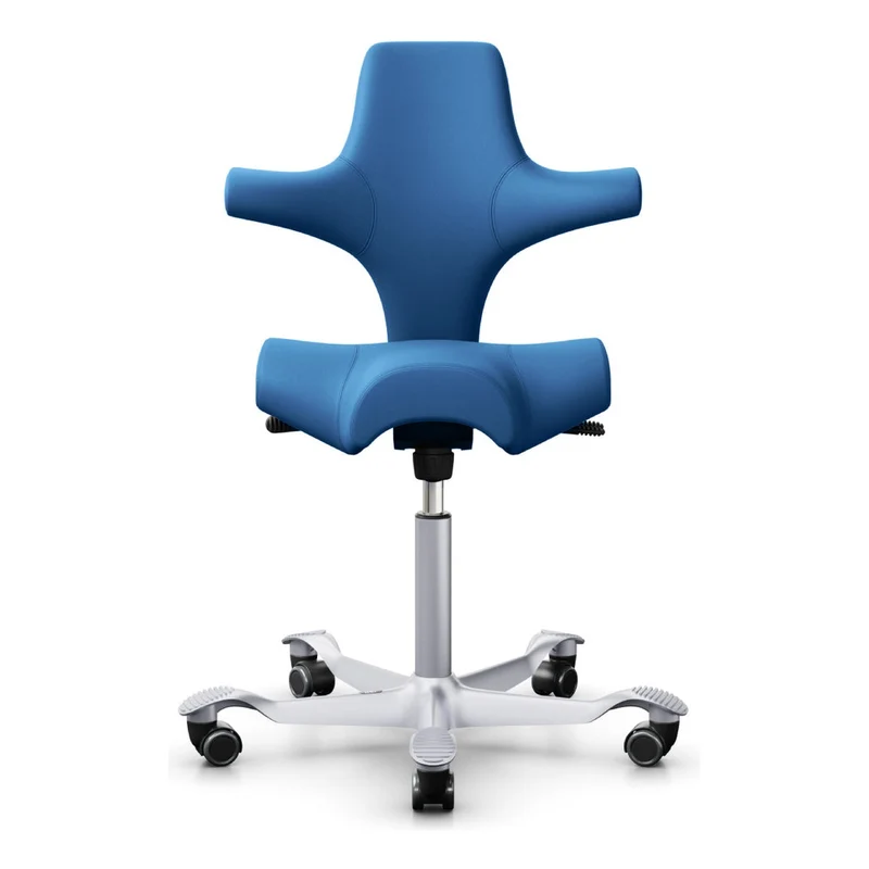 HÅG Capisco Saddle Chair 8106