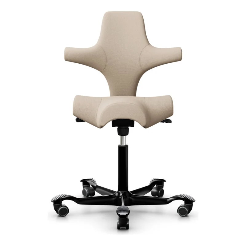 HÅG Capisco Saddle Chair 8106