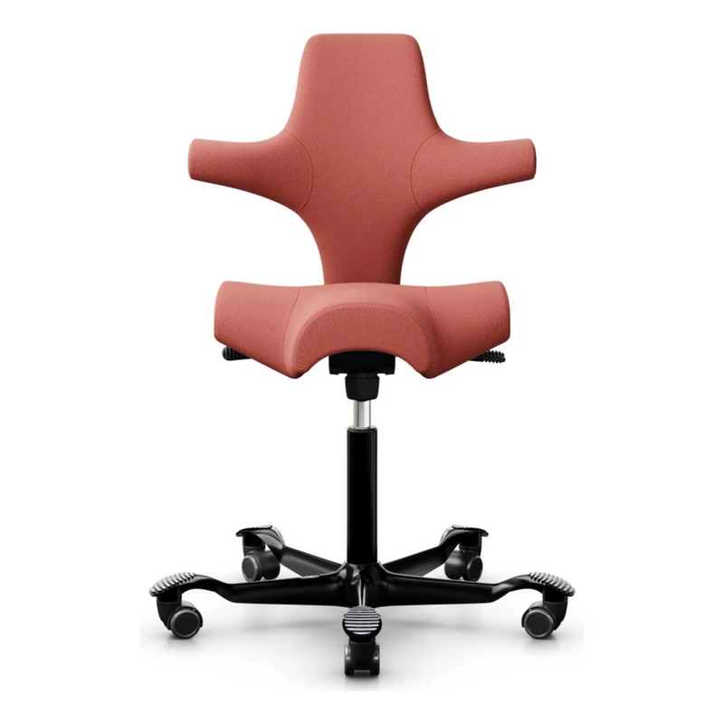 HÅG Capisco Saddle Chair 8106