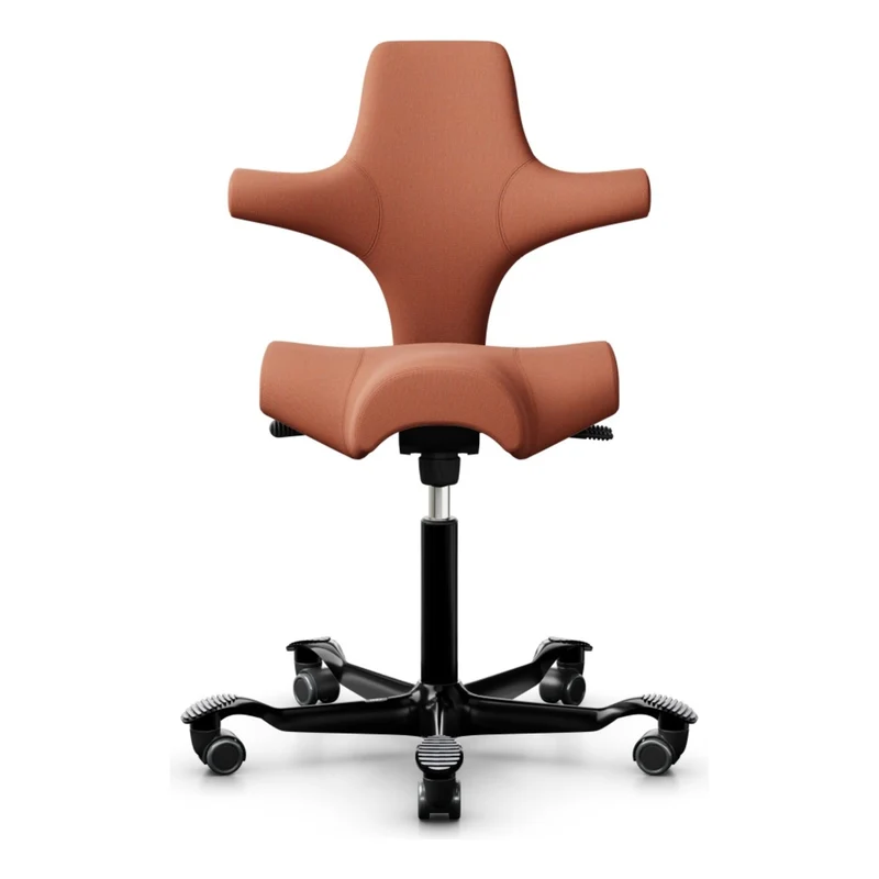 HÅG Capisco Saddle Chair 8106