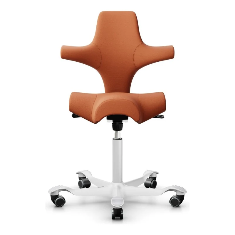 HÅG Capisco Saddle Chair 8106