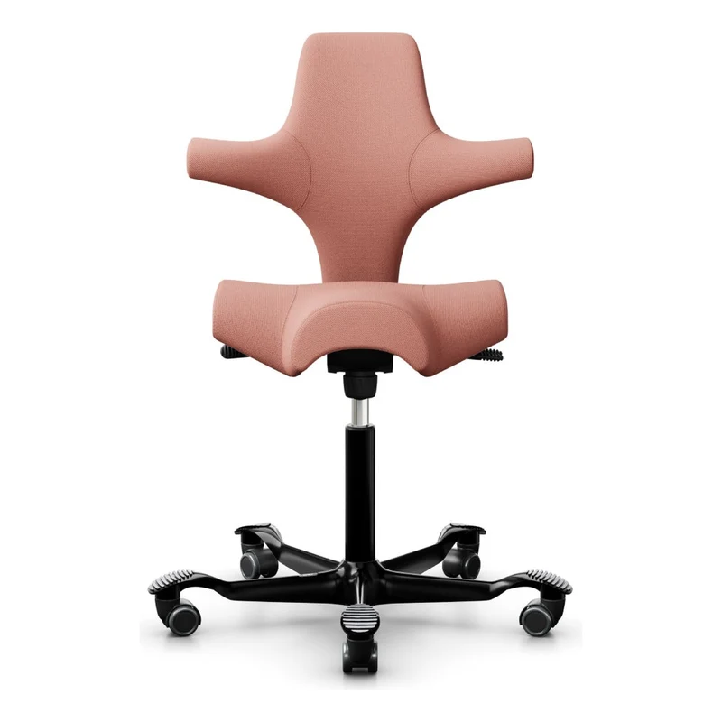 HÅG Capisco Saddle Chair 8106