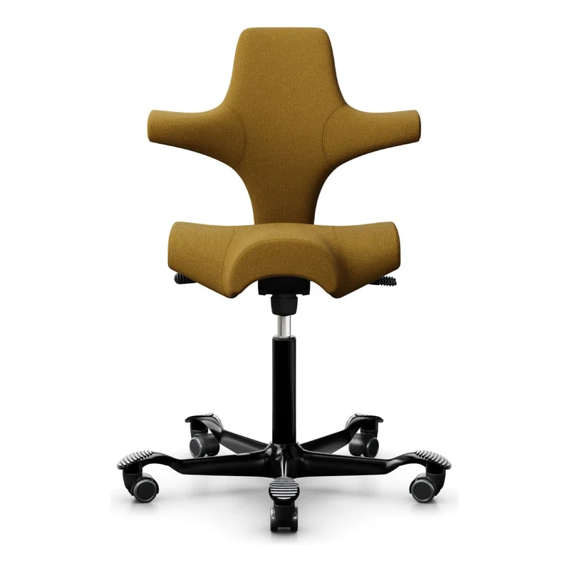 HÅG Capisco Saddle Chair 8106