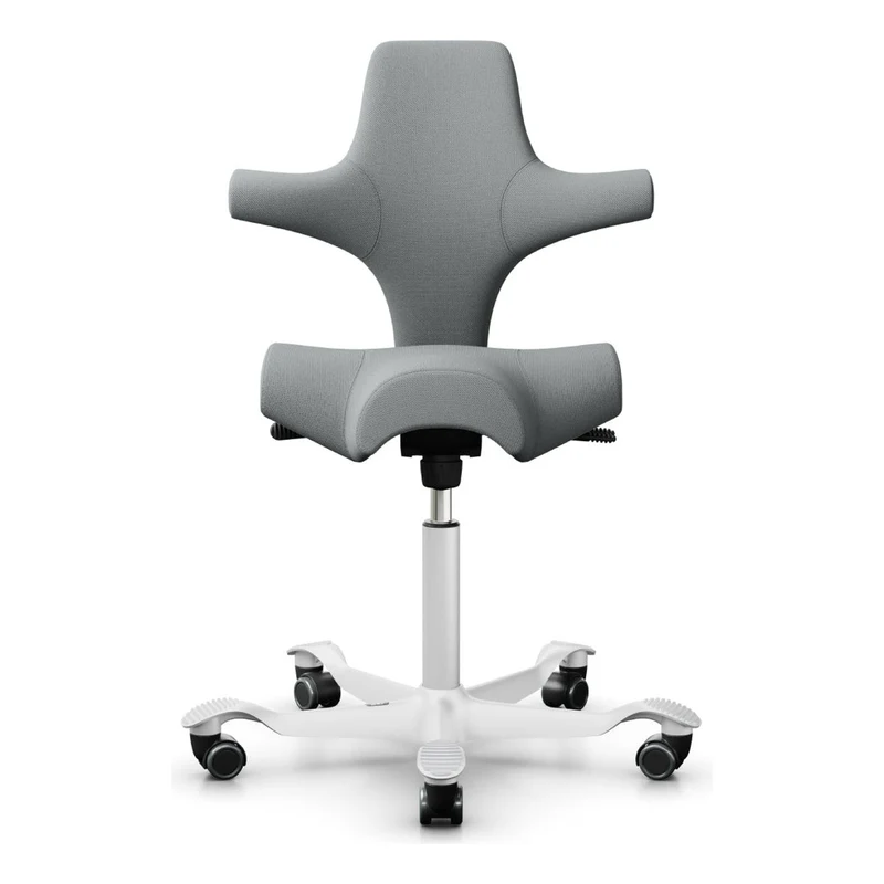 HÅG Capisco Saddle Chair 8106