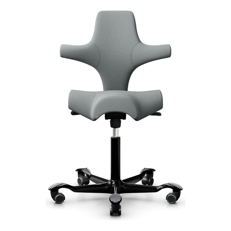 HÅG Capisco Saddle Chair 8106