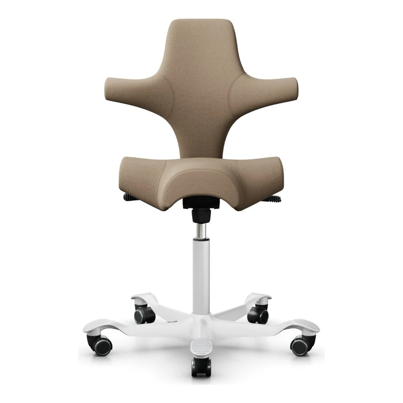 HÅG Capisco Saddle Chair 8106