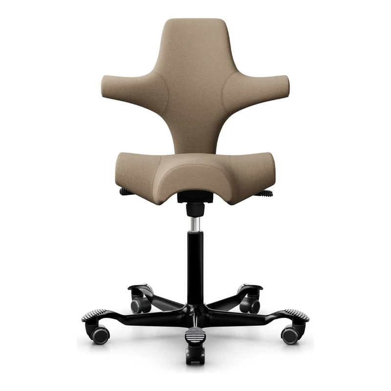HÅG Capisco Saddle Chair 8106