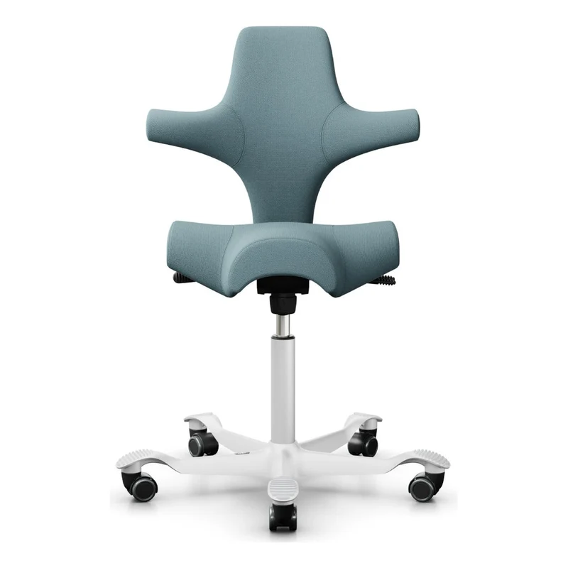 HÅG Capisco Saddle Chair 8106