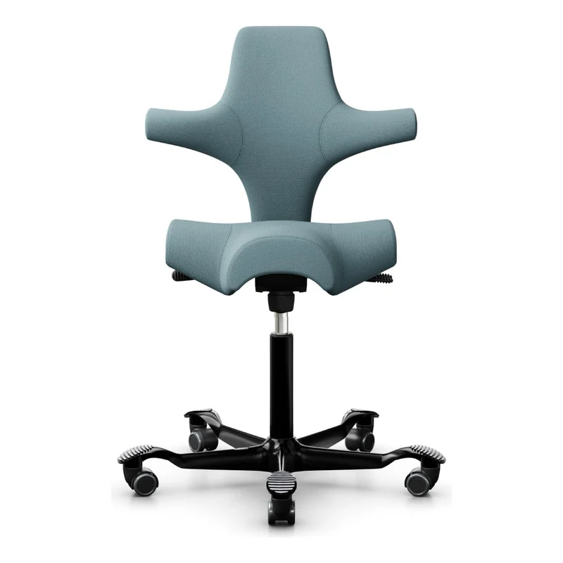 HÅG Capisco Saddle Chair 8106