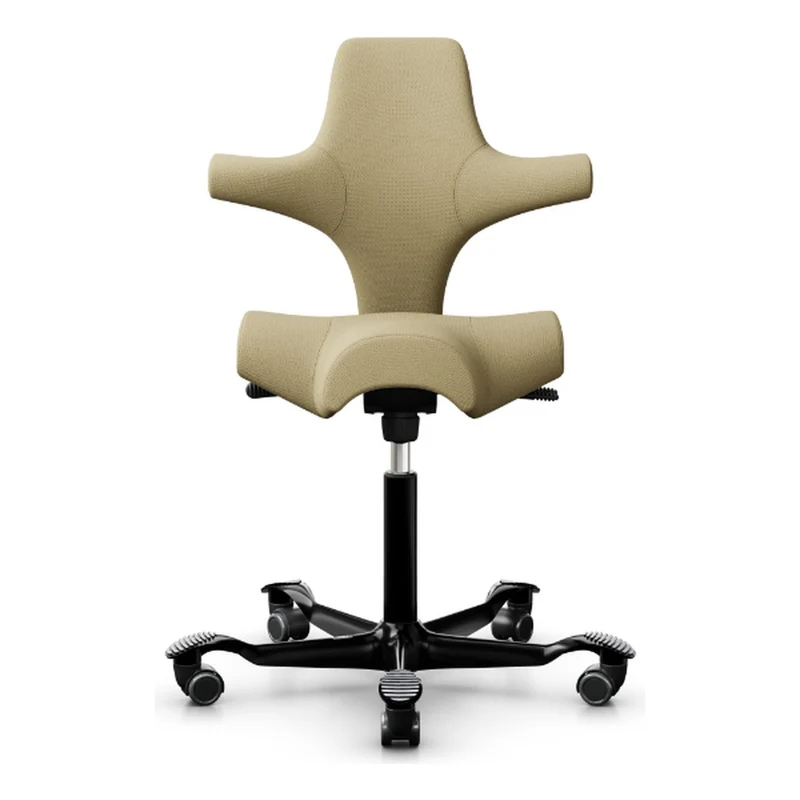 HÅG Capisco Saddle Chair 8106