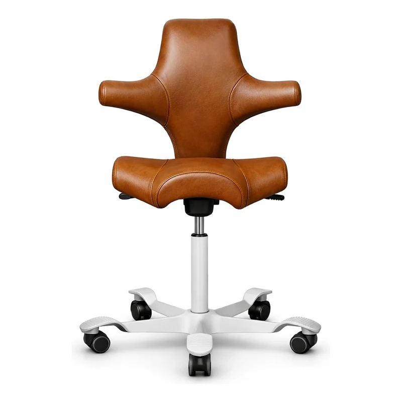 HÅG Capisco Saddle Chair 8106