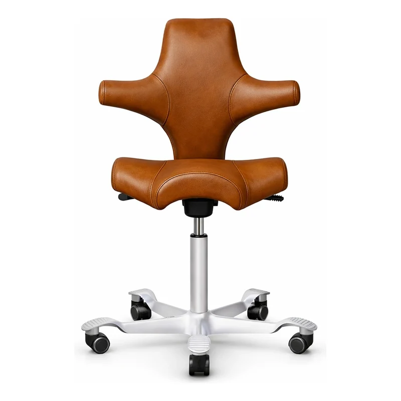 HÅG Capisco Saddle Chair 8106