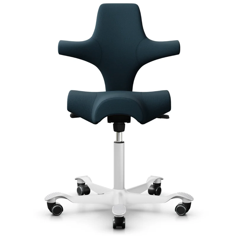 HÅG Capisco Saddle Chair 8106