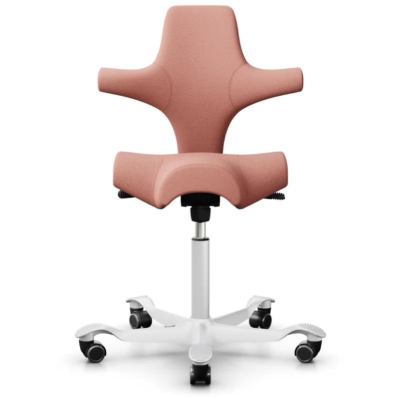 HÅG Capisco Saddle Chair 8106