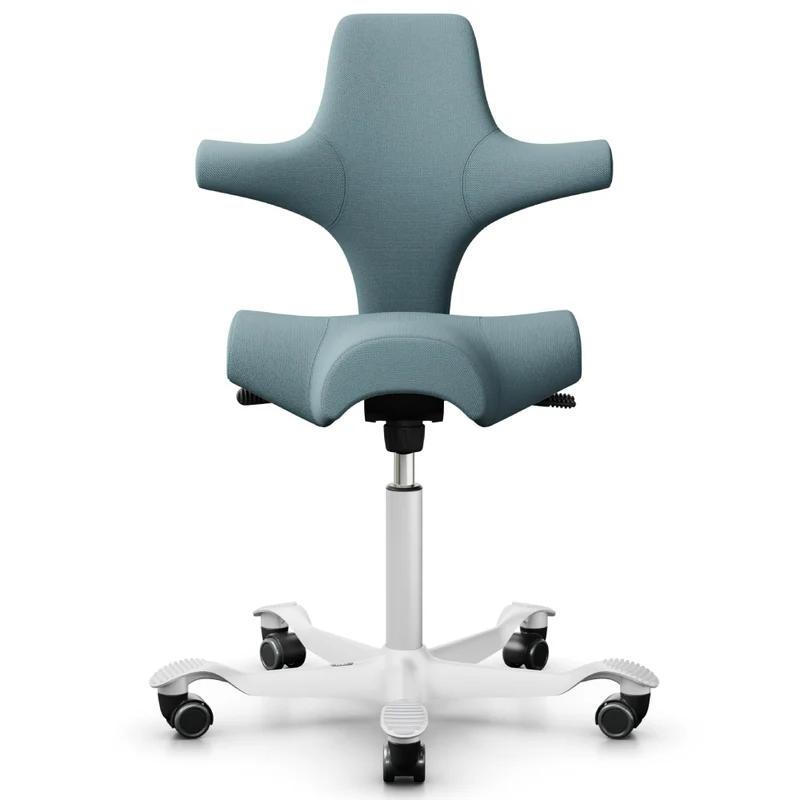 HÅG Capisco Saddle Chair 8106