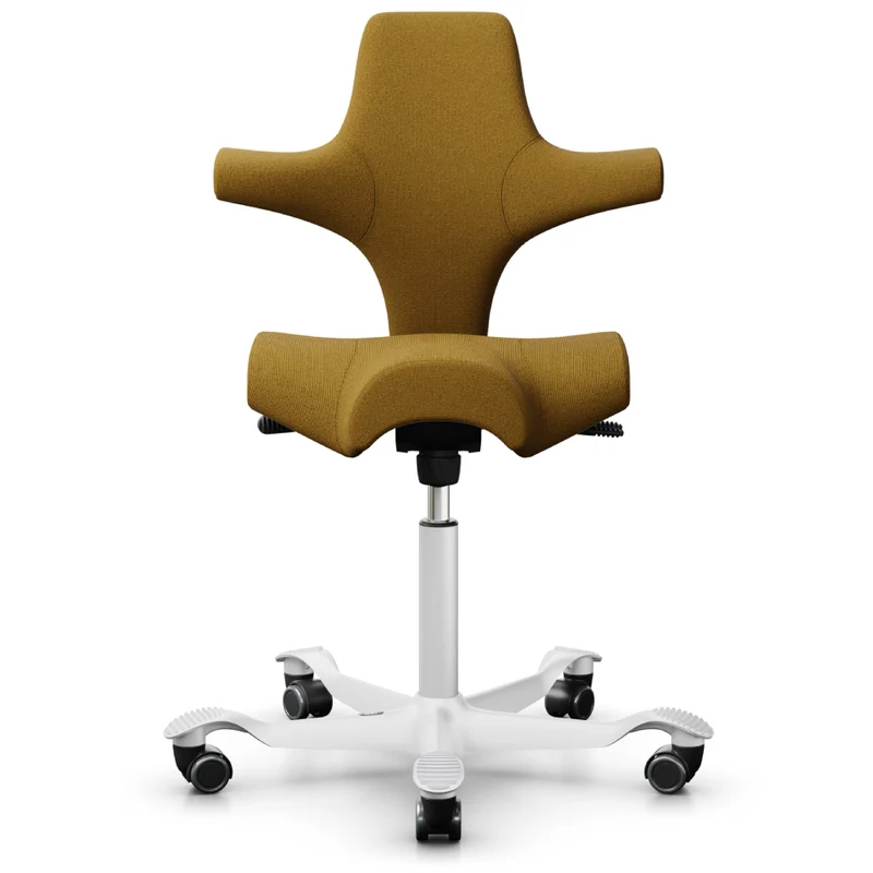 HÅG Capisco Saddle Chair 8106